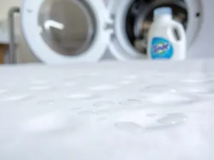 Czym nawozić maliny na wiosnę?