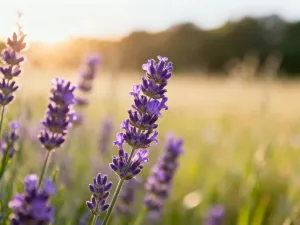 Stos żebrowanych prętów zbrojeniowych fi 12 w zbliżeniu, ukazujący ich fakturę w warunkach budowlanych.
